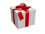 Subscribe now and receive a gift