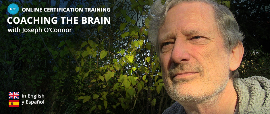 Coaching the Brain Certification 2022
